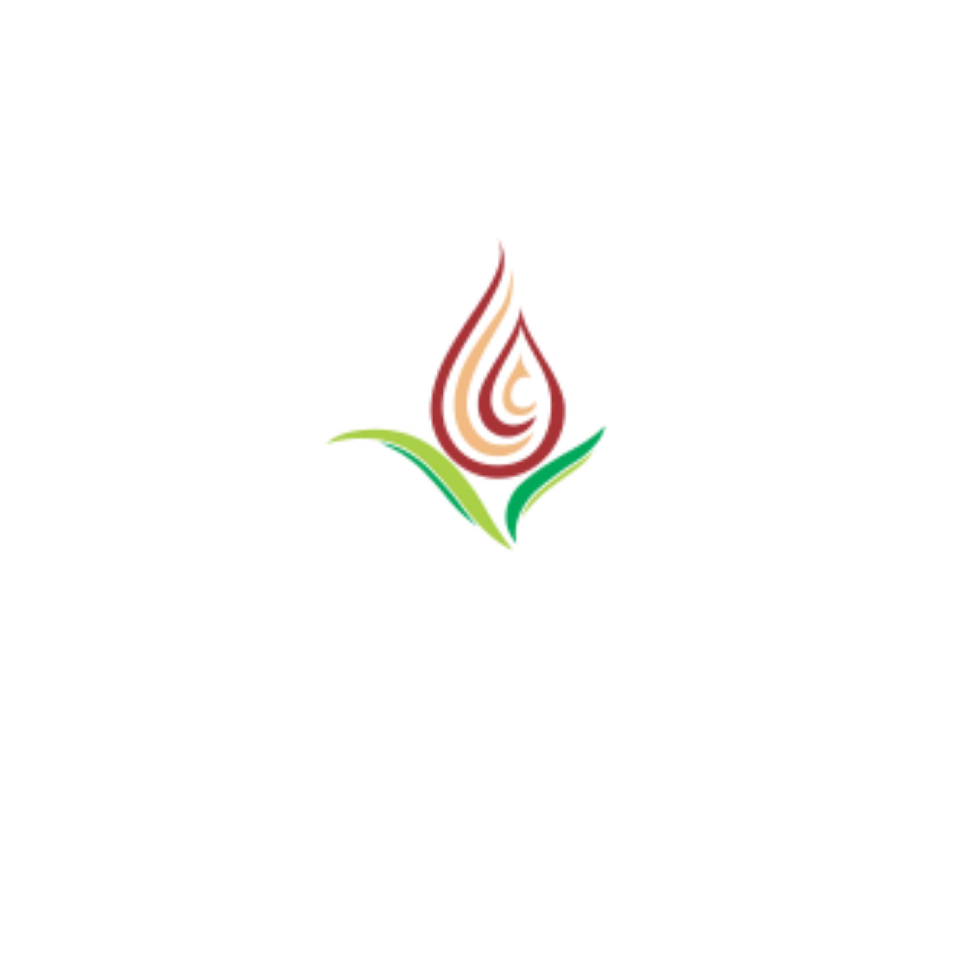 GCC Logo